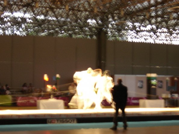 DSC03873