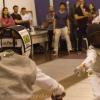 Paulistinha etapa 1   -185